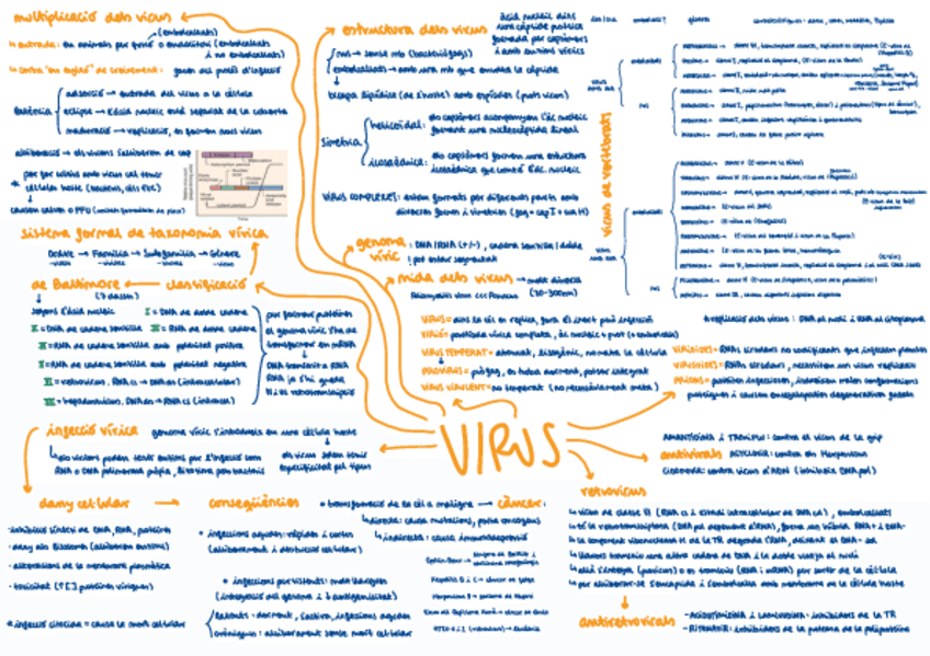 Miniatura del documento virus.pdf