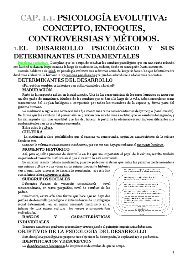 Miniatura del documento RESUMEN-ENERO-desarrollo-I.pdf