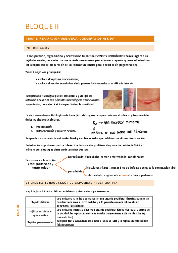 Miniatura del documento tema-3.pdf