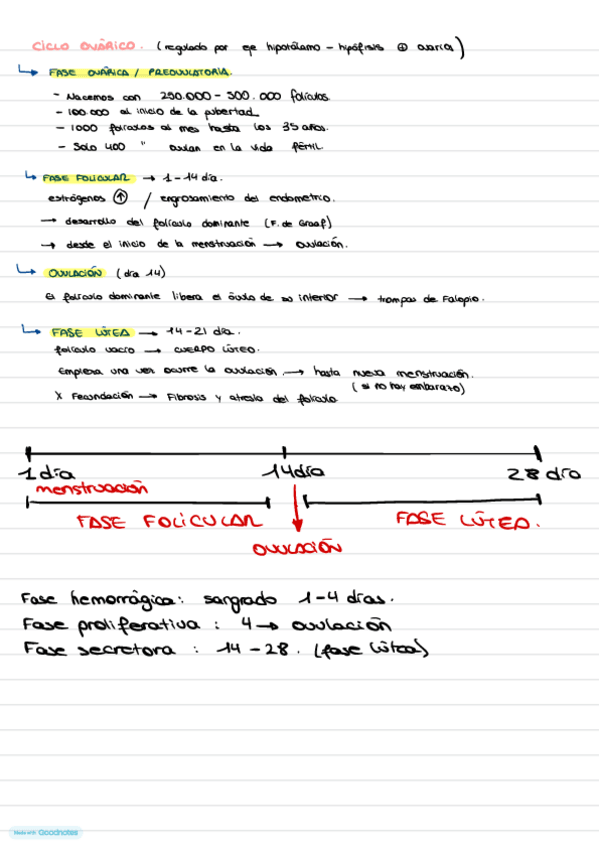 Miniatura del documento Ciclo-ovarico.pdf