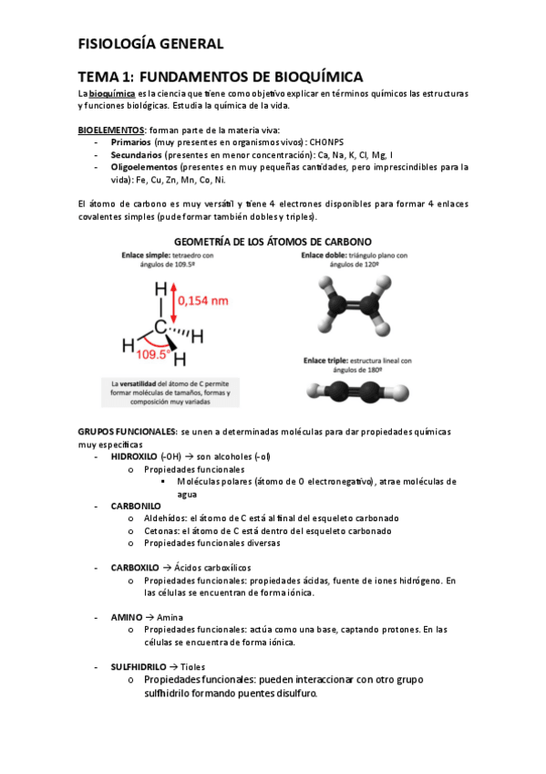Miniatura del documento TEMA-1.pdf