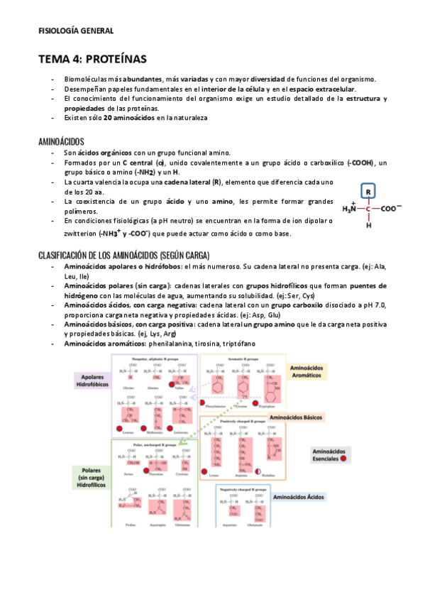 Miniatura del documento TEMA-4-PROTEINAS.pdf