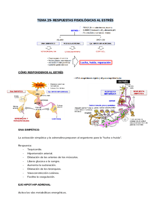 Miniatura del documento FISIOLOGIA-HUMANA-SEGUNDO-PARCIAL-BLOQUES-7-8-Y-9-TEMAS-29-30-Y-31.pdf