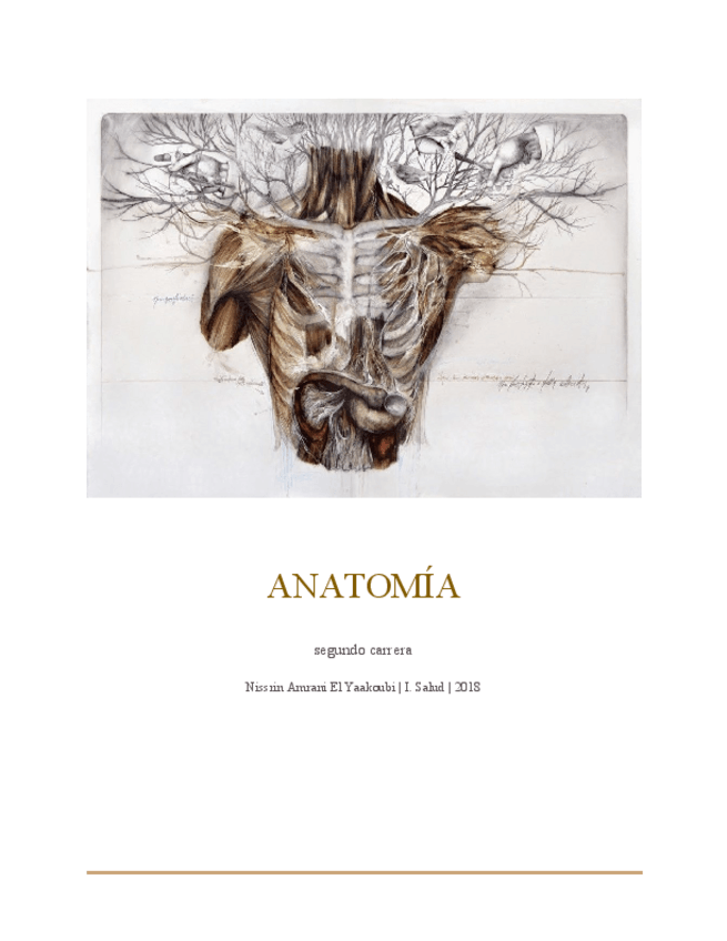 Miniatura del documento Temario Anatomia.pdf