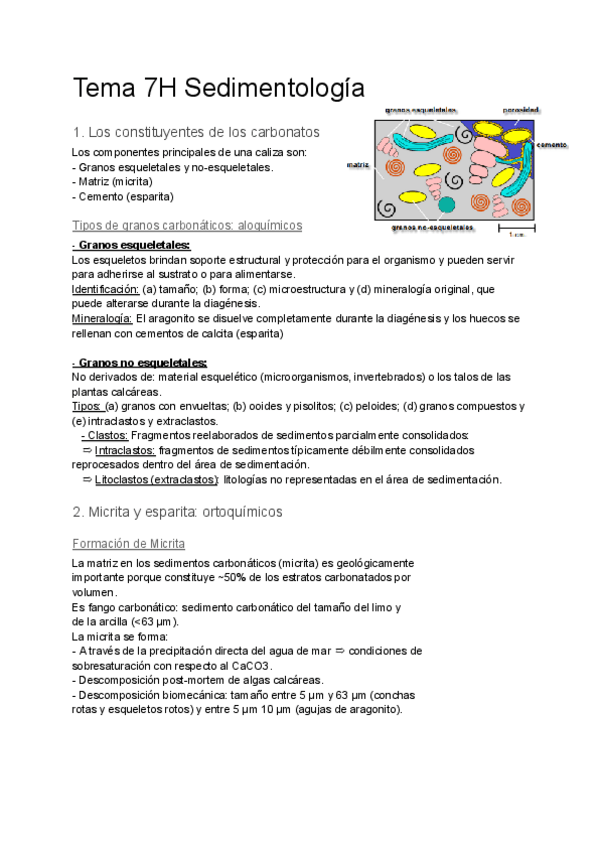 Miniatura del documento Tema-7H-Sedimentologia.pdf