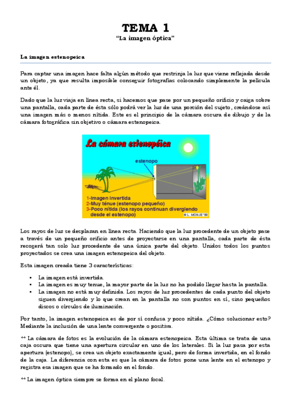 Miniatura del documento TEMA 1.pdf