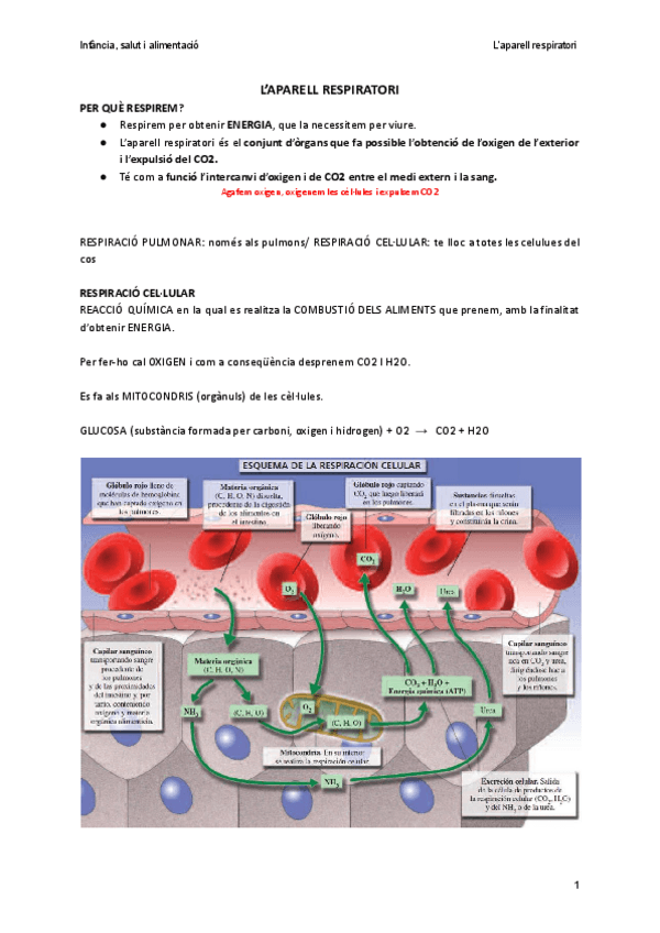 Miniatura del documento TEMA-7.pdf