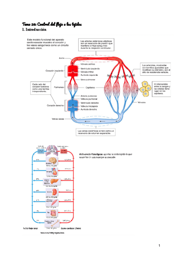 Miniatura del documento Tema-26-control-del-flujo-a-los-tejidos.pdf