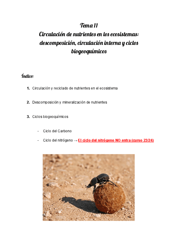 Miniatura del documento Tema-11.-Circulacion-de-nutrientes-en-los-ecosistemas-descomposicion-circulacion-interna-y-ciclos-biogeoquimicos..pdf