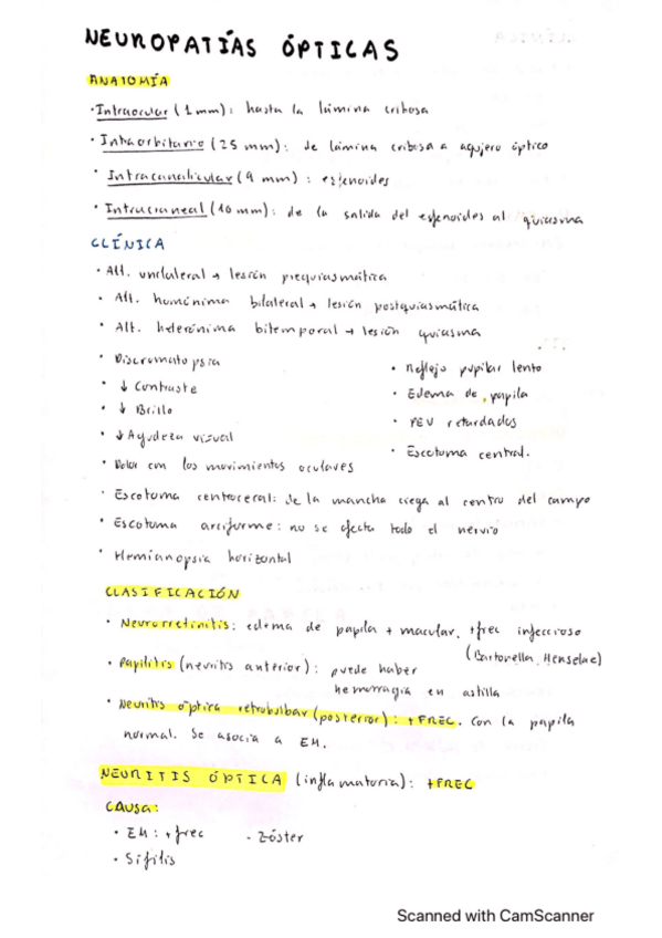 Miniatura del documento Neuropatias-opticas.pdf