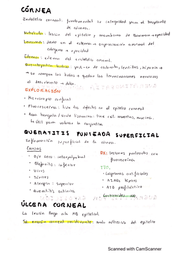 Miniatura del documento Patologia-de-la-cornea.pdf