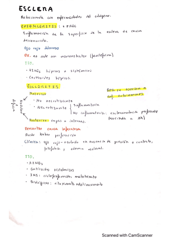 Miniatura del documento Patologia-de-la-esclera.pdf