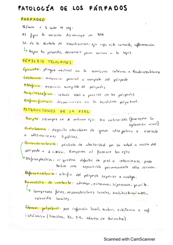 Miniatura del documento Patologia-del-parpado.pdf