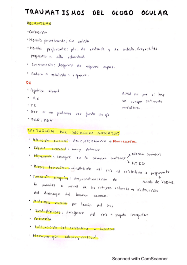 Miniatura del documento Traumatismos-del-globo-ocular.pdf