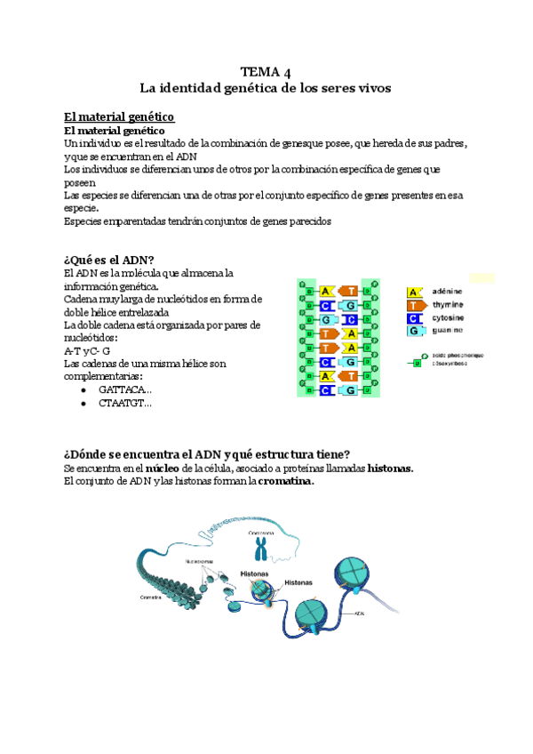 Miniatura del documento Conocimineto-del-Medio-Tema-4.pdf