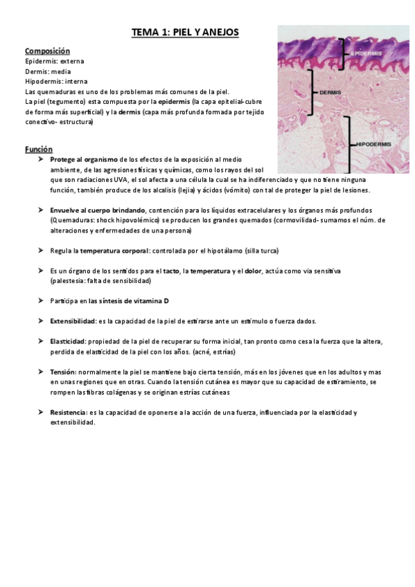 Miniatura del documento TEMA-1-ANATOMIA-DE-LA-PIEL.pdf