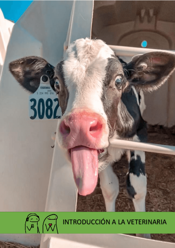 Miniatura del documento Introduccion-a-la-veterinaria-COMPLETO.pdf
