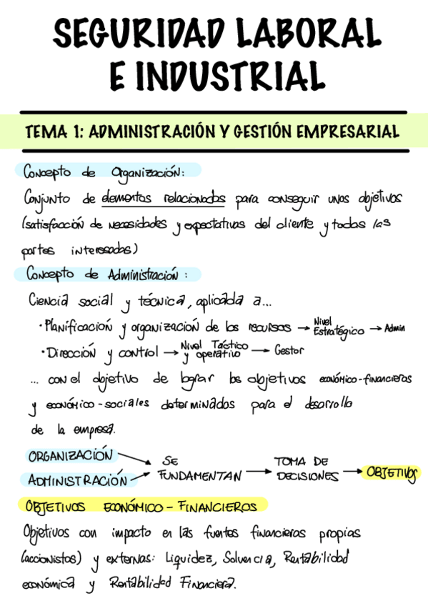 Miniatura del documento RESUMEN_SEGURIDAD_LABORAL_2024.pdf