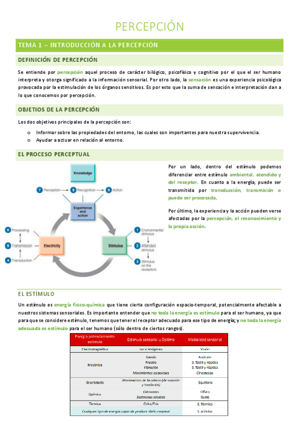 Miniatura del documento percepcion-tema-1.pdf