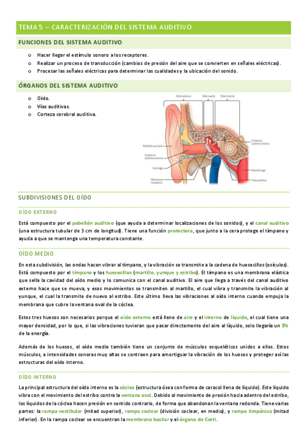 Miniatura del documento percepcion-tema-5.pdf