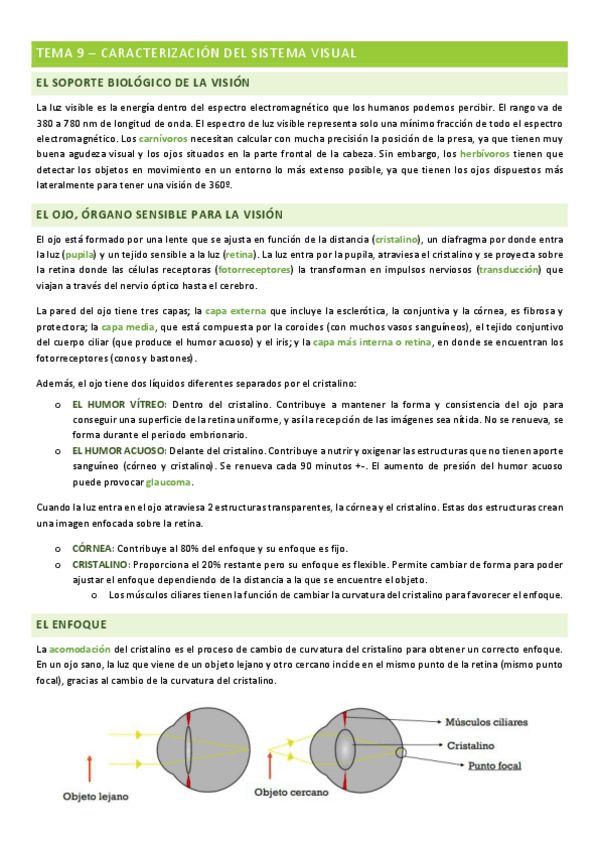 Miniatura del documento percepcion-tema-8.pdf