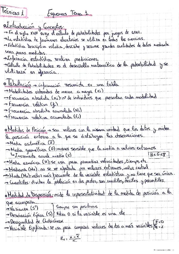 Miniatura del documento esquemas-tecnicas-1.pdf