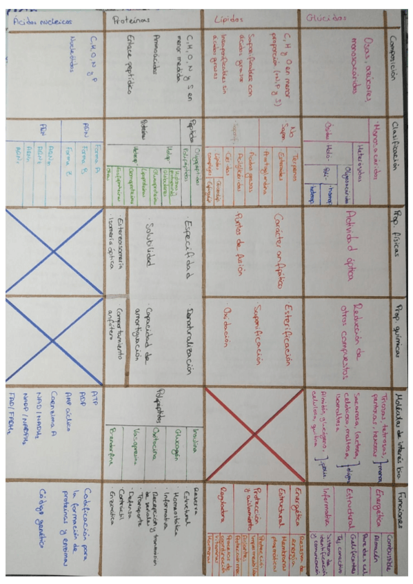 Miniatura del documento Esquema-biomoleculas.pdf