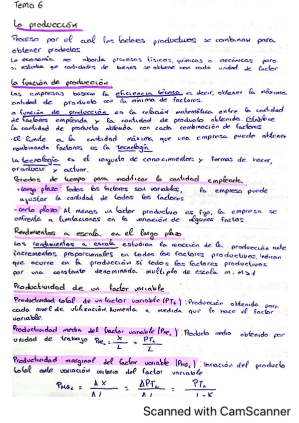 Miniatura del documento esquema-resumen-tema-6-microeconomia.pdf