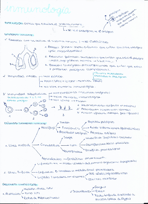 Miniatura del documento Esquema-inmunologia-T1.pdf