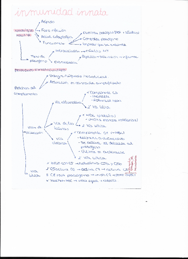 Miniatura del documento Esquema-inmunologia-T2.pdf