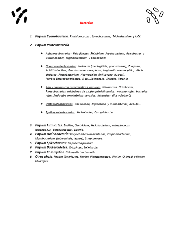 Miniatura del documento Esquema general bacterias y arqueas.pdf