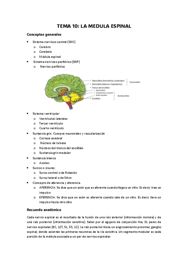 Miniatura del documento la-biblia-de-fisiolo-M2.pdf