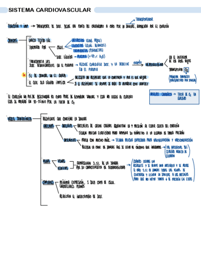 Miniatura del documento SISTEMA-CARDIOVASCULAR.pdf