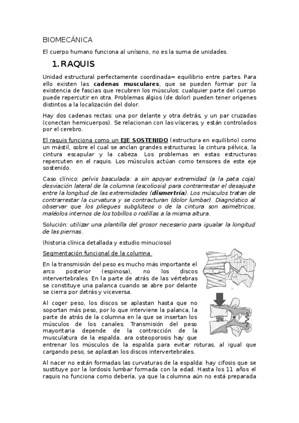 Miniatura del documento apuntes-completos-BIOMECANICA.docx