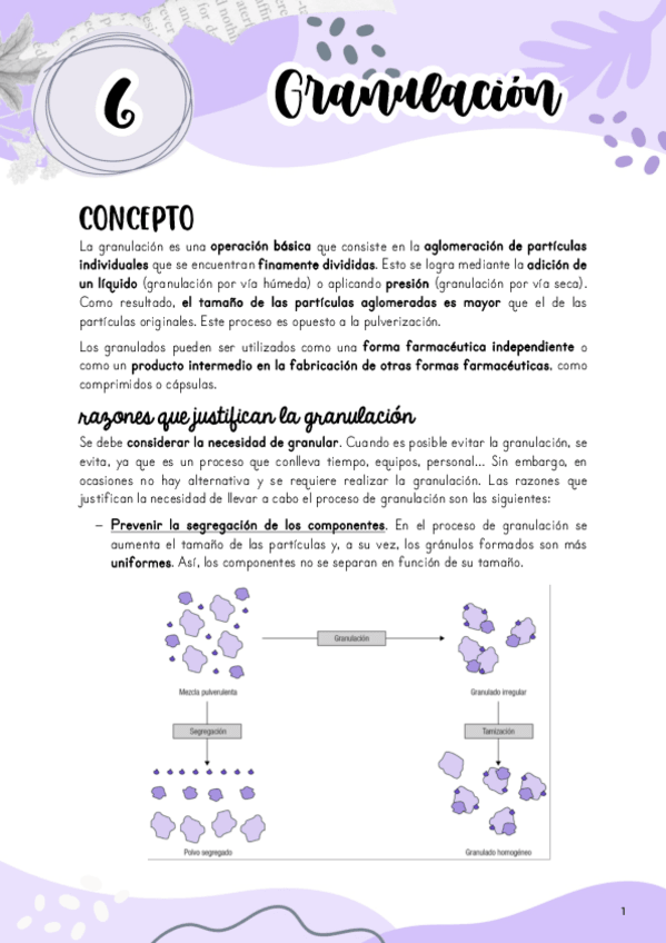 Miniatura del documento Tema-6.-Granulacion.pdf