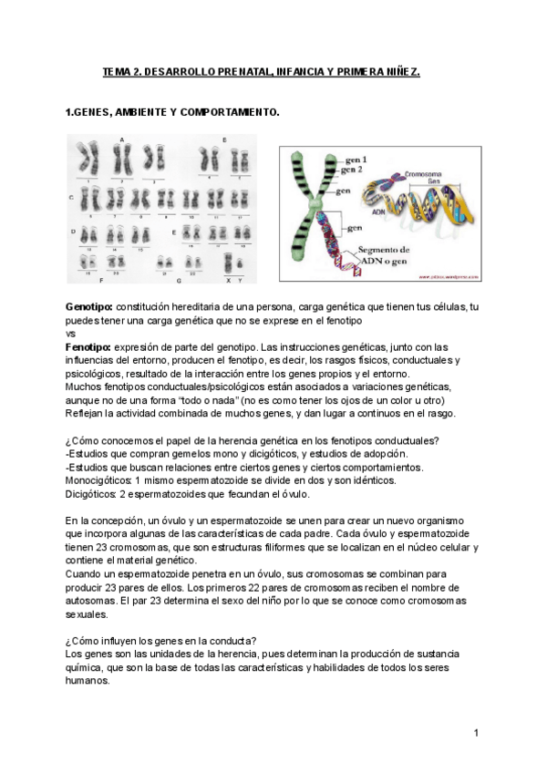 Miniatura del documento TEMA-2-FUNDAMENTOS.pdf