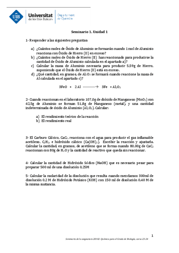 Miniatura del documento Seminario-1.pdf