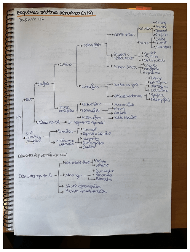Miniatura del documento Resumen-temario-fisio.pdf