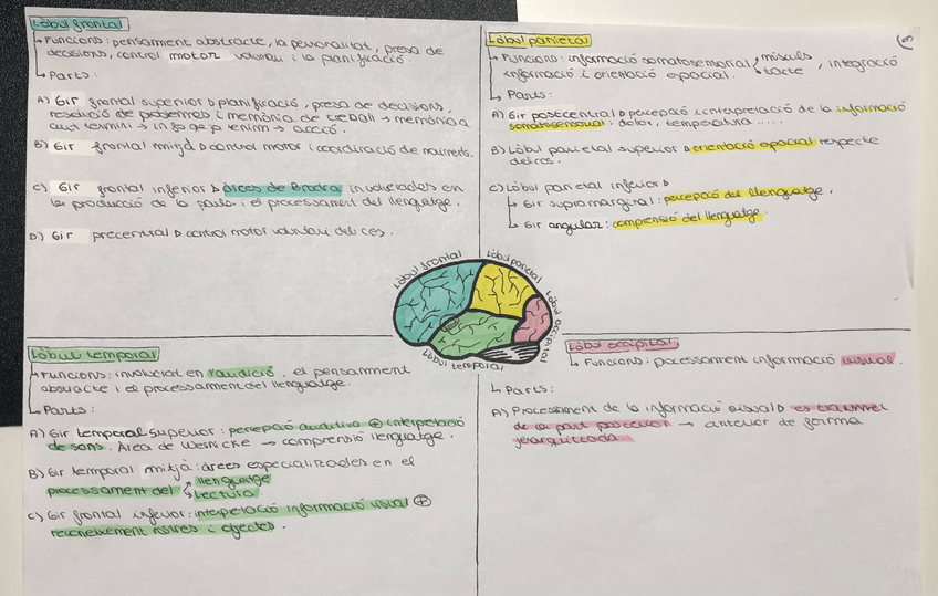 Miniatura del documento IMG5760.jpg