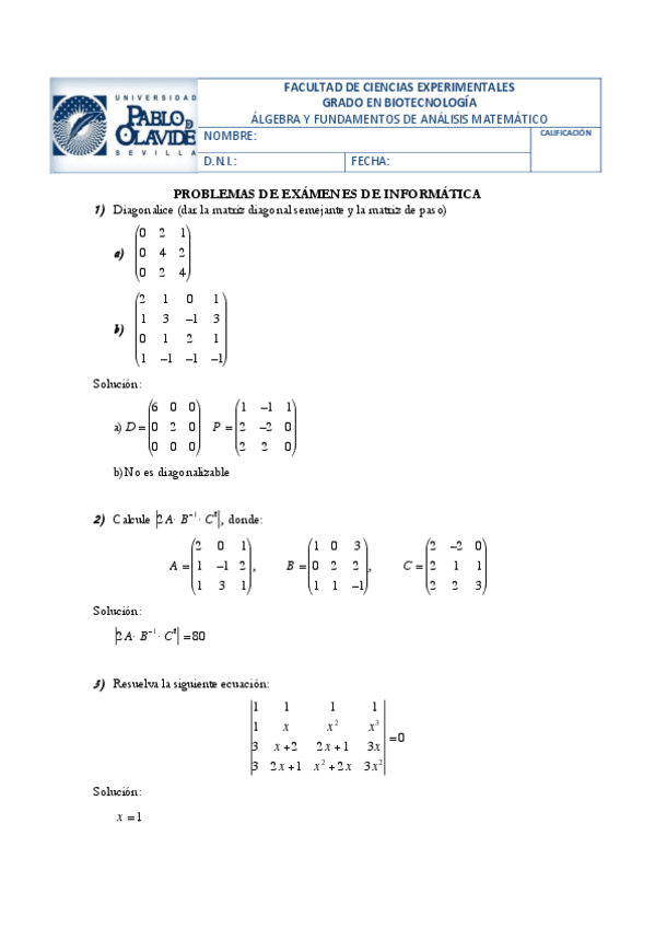Miniatura del documento Enunciados examen.pdf