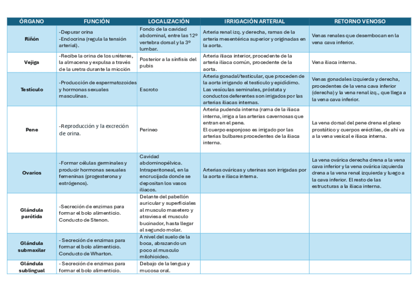 Miniatura del documento Tabla-resumen-anatomia-2023-2024.pdf