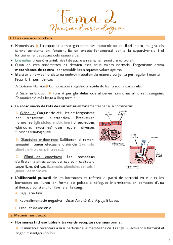 Miniatura del documento Tema-2-neuroendocrinologia.pdf