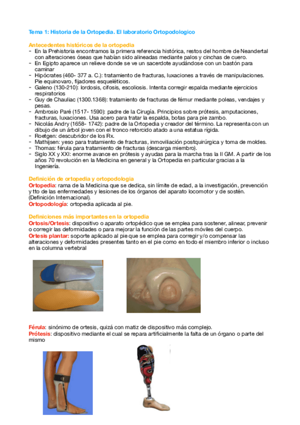 Miniatura del documento Tema-1-Orto.pdf