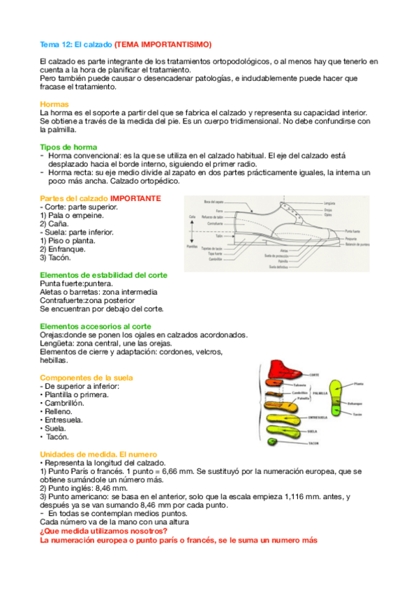 Miniatura del documento Tema-12-Orto.pdf