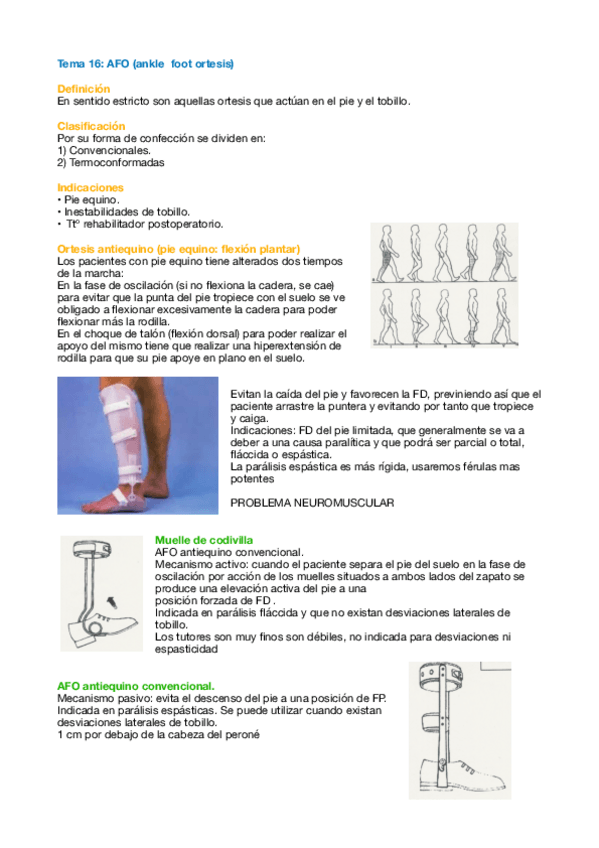 Miniatura del documento Tema-16-Orto.pdf