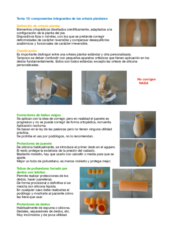 Miniatura del documento Tema-10-Orto.pdf