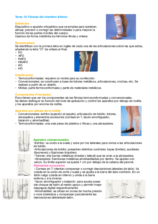 Miniatura del documento Tema-15-Orto.pdf