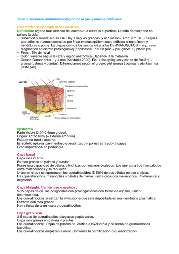 Miniatura del documento Tema-2-quiro.pdf