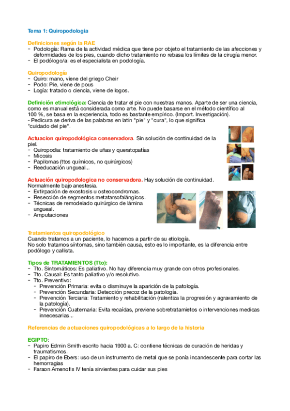 Miniatura del documento Tema-1-Quiro.pdf