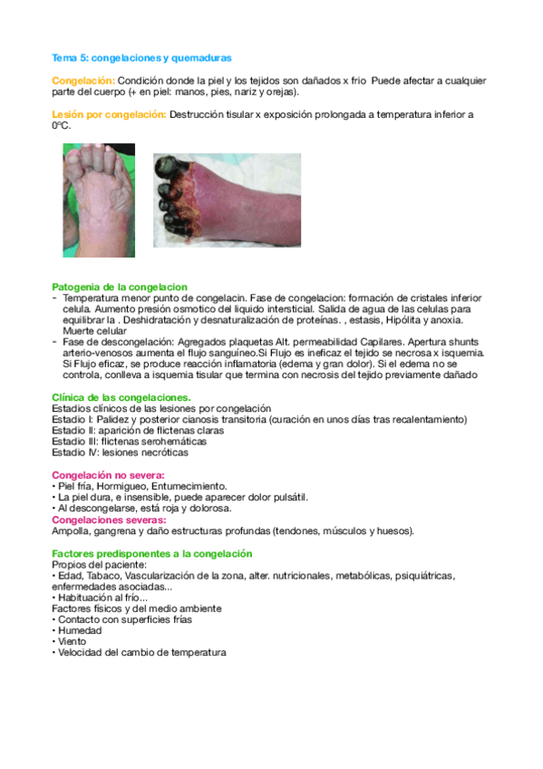 Miniatura del documento Tema-5-Quiro.pdf